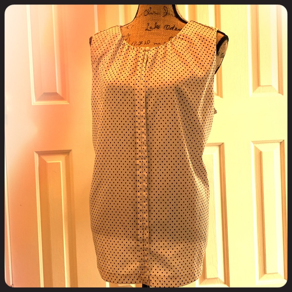 Ann Taylor chiffon sleeves popover blouse